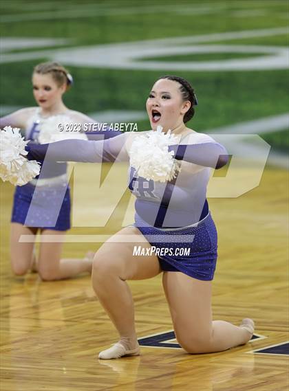 Thumbnail 2 in Highlands Ranch CHSAA Spirit Poms photogallery.