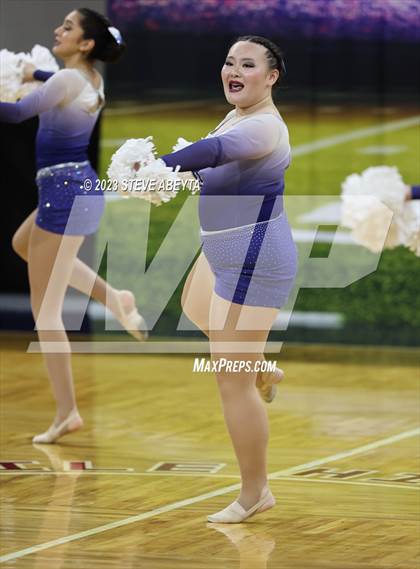 Thumbnail 2 in Highlands Ranch CHSAA Spirit Poms photogallery.