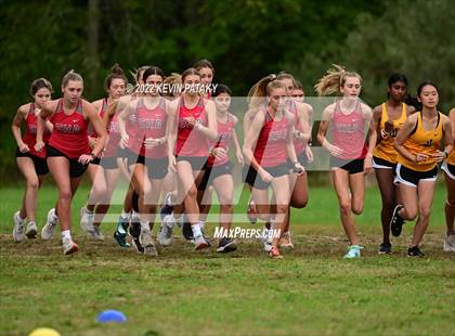 Thumbnail 3 in Jonathan Law, Sacred Heart Academy, Lyman Hall and Wilbur Cross @ Eisenhower Park photogallery.
