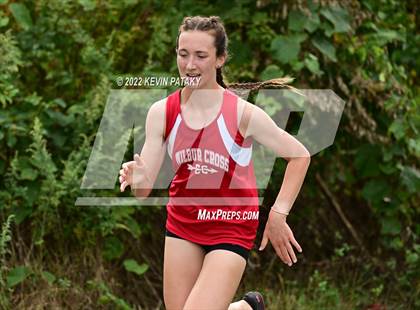 Thumbnail 3 in Jonathan Law, Sacred Heart Academy, Lyman Hall and Wilbur Cross @ Eisenhower Park photogallery.