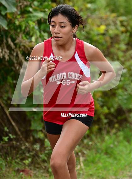 Thumbnail 1 in Jonathan Law, Sacred Heart Academy, Lyman Hall and Wilbur Cross @ Eisenhower Park photogallery.