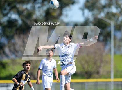 Thumbnail 2 in Christopher vs. Everett Alvarez (CIF CCS D3 Finals) photogallery.