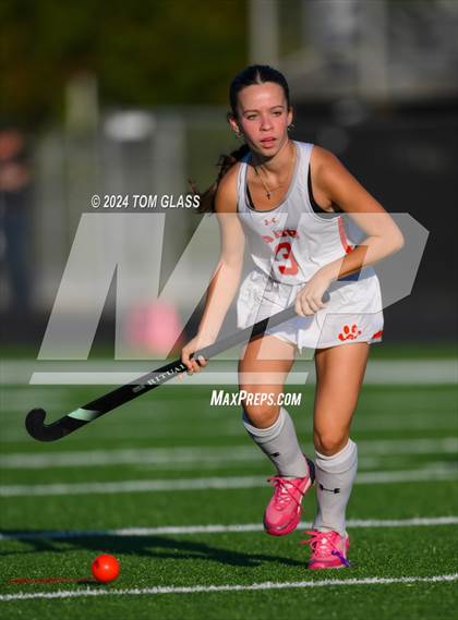Thumbnail 1 in Tabb vs. Colonial Heights (VHSL Class 3 Region A Quarterfinal) photogallery.