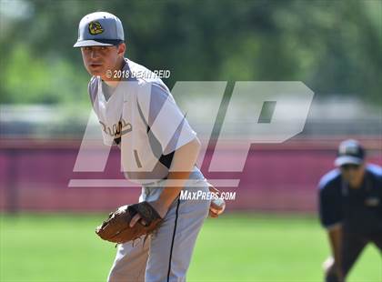 Thumbnail 3 in Richards @ Brother Rice (IHSA Class 4A Regional Final) photogallery.