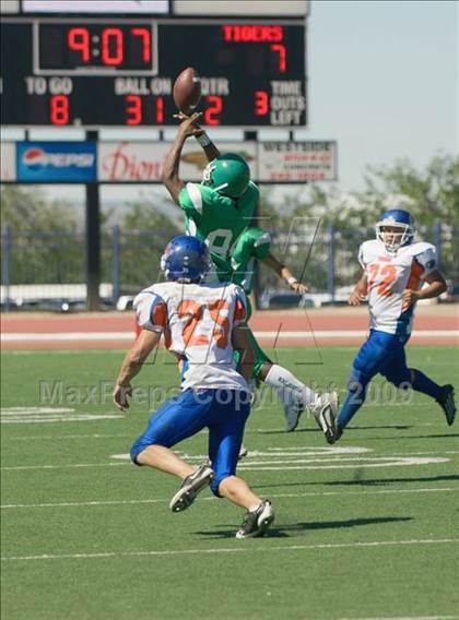Thumbnail 1 in Los Lunas @ Albuquerque photogallery.