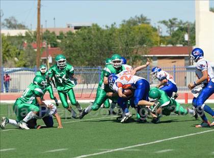 Thumbnail 1 in Los Lunas @ Albuquerque photogallery.