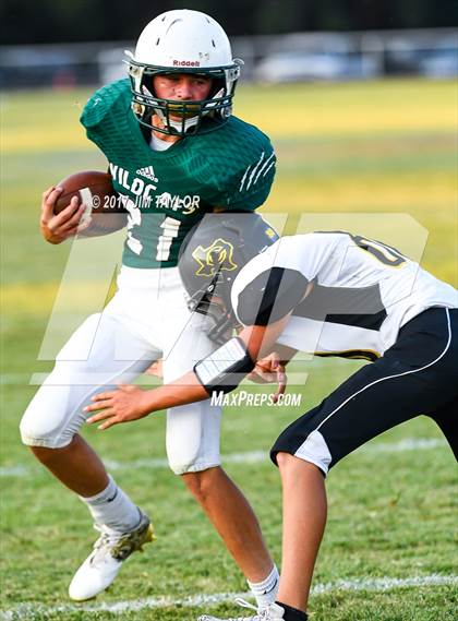 Thumbnail 3 in Chico @ Santo photogallery.