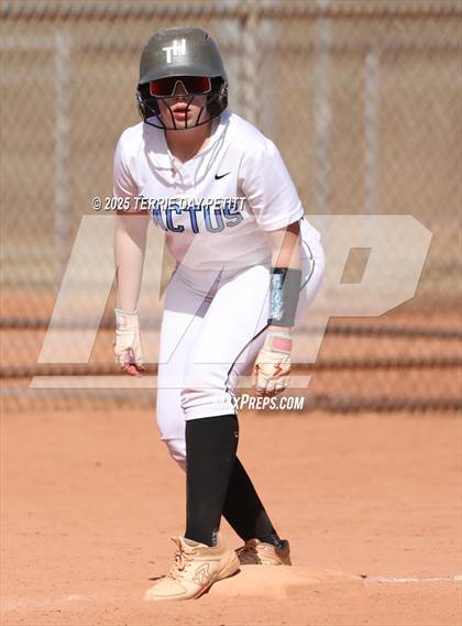 Thumbnail 2 in Cactus vs. Ironwood photogallery.