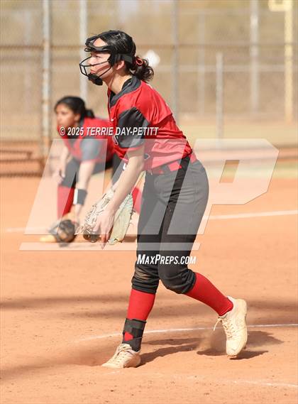 Thumbnail 2 in Cactus vs. Ironwood photogallery.