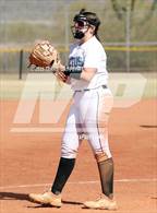 Photo from the gallery "Cactus vs. Ironwood"