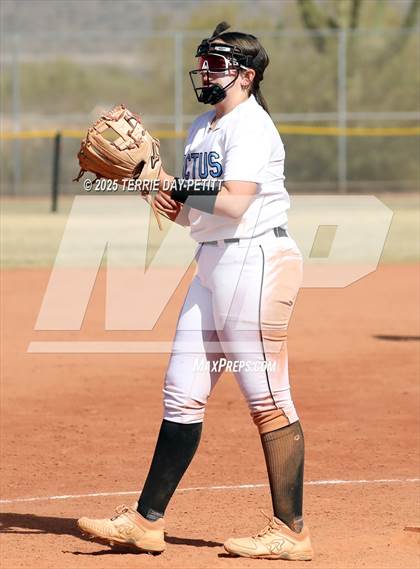 Thumbnail 2 in Cactus vs. Ironwood photogallery.