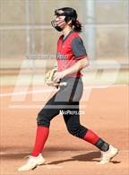Photo from the gallery "Cactus vs. Ironwood"