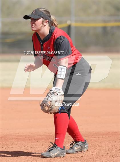 Thumbnail 2 in Cactus vs. Ironwood photogallery.