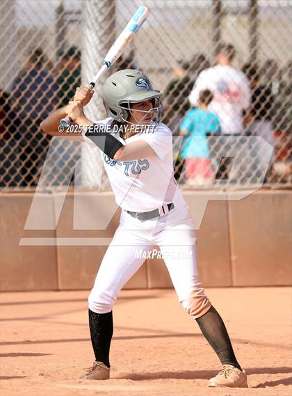 Thumbnail 3 in Cactus vs. Ironwood photogallery.
