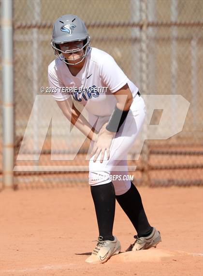 Thumbnail 2 in Cactus vs. Ironwood photogallery.