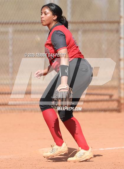 Thumbnail 1 in Cactus vs. Ironwood photogallery.