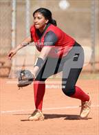 Photo from the gallery "Cactus vs. Ironwood"
