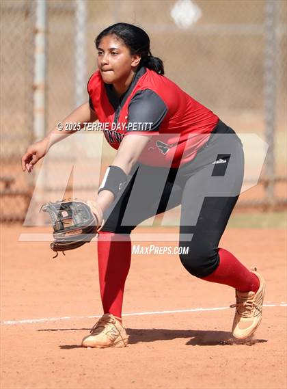 Thumbnail 1 in Cactus vs. Ironwood photogallery.