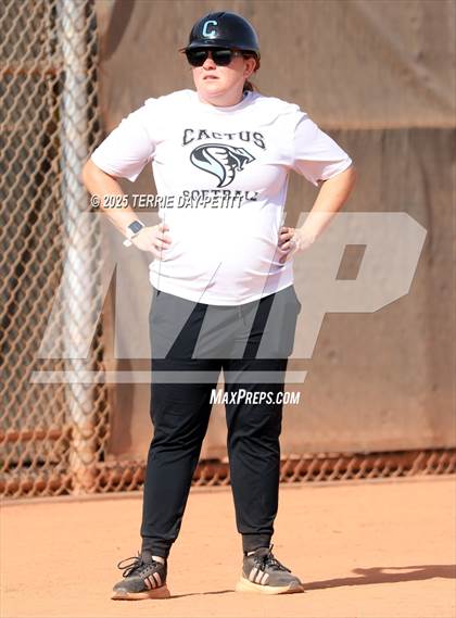 Thumbnail 3 in Cactus vs. Ironwood photogallery.