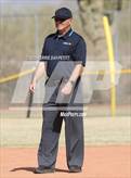 Photo from the gallery "Cactus vs. Ironwood"