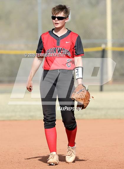 Thumbnail 1 in Cactus vs. Ironwood photogallery.