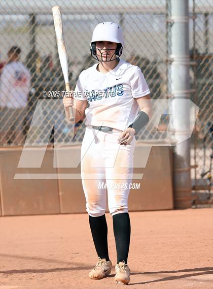 Thumbnail 3 in Cactus vs. Ironwood photogallery.