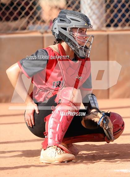 Thumbnail 3 in Cactus vs. Ironwood photogallery.