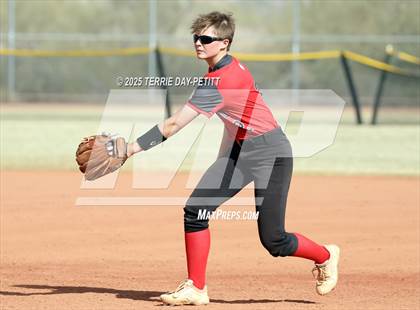 Thumbnail 1 in Cactus vs. Ironwood photogallery.