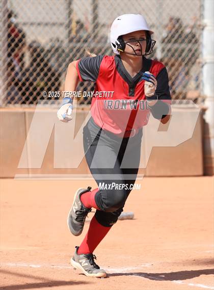 Thumbnail 3 in Cactus vs. Ironwood photogallery.