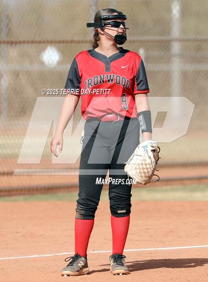Thumbnail 3 in Cactus vs. Ironwood photogallery.