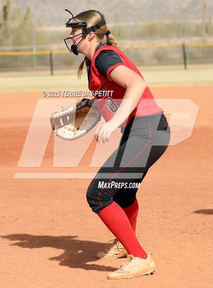 Thumbnail 1 in Cactus vs. Ironwood photogallery.