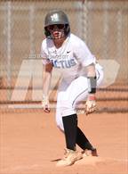 Photo from the gallery "Cactus vs. Ironwood"
