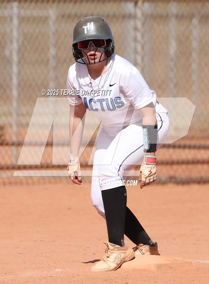 Thumbnail 3 in Cactus vs. Ironwood photogallery.