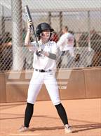 Photo from the gallery "Cactus vs. Ironwood"