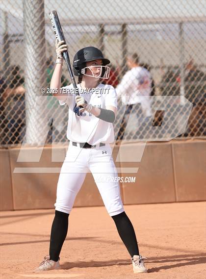 Thumbnail 1 in Cactus vs. Ironwood photogallery.
