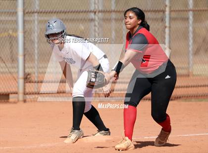 Thumbnail 2 in Cactus vs. Ironwood photogallery.