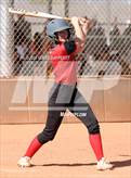 Photo from the gallery "Cactus vs. Ironwood"