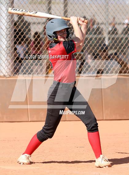 Thumbnail 3 in Cactus vs. Ironwood photogallery.
