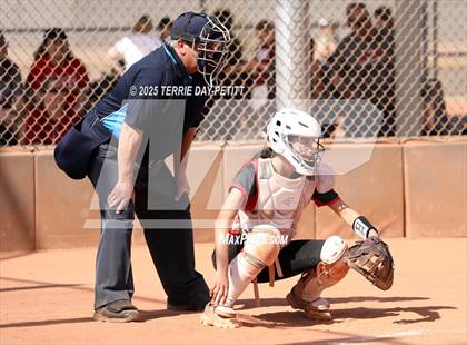 Thumbnail 2 in Cactus vs. Ironwood photogallery.