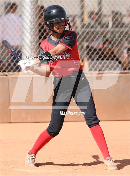 Thumbnail 1 in Cactus vs. Ironwood photogallery.