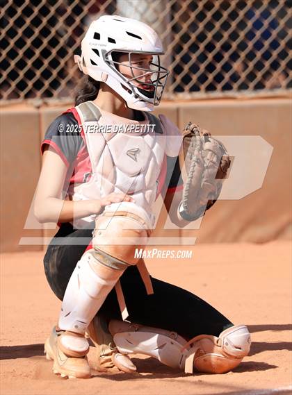 Thumbnail 3 in Cactus vs. Ironwood photogallery.