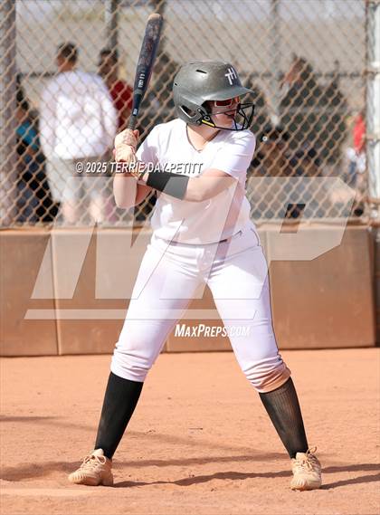 Thumbnail 3 in Cactus vs. Ironwood photogallery.