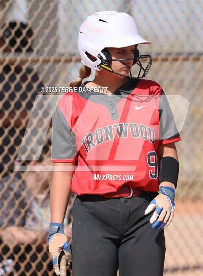 Thumbnail 2 in Cactus vs. Ironwood photogallery.