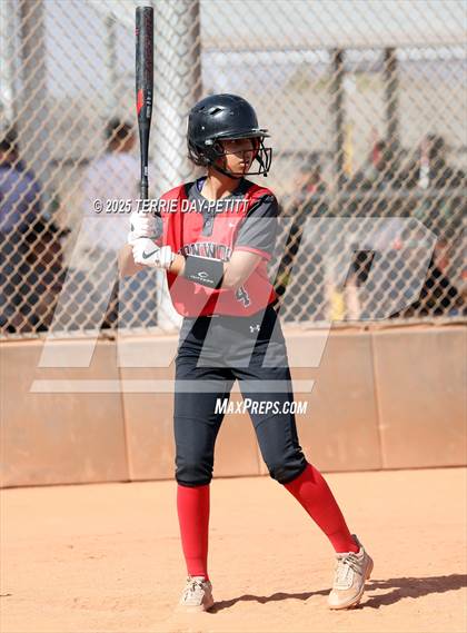 Thumbnail 2 in Cactus vs. Ironwood photogallery.