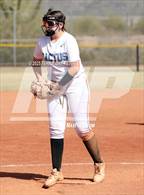 Photo from the gallery "Cactus vs. Ironwood"