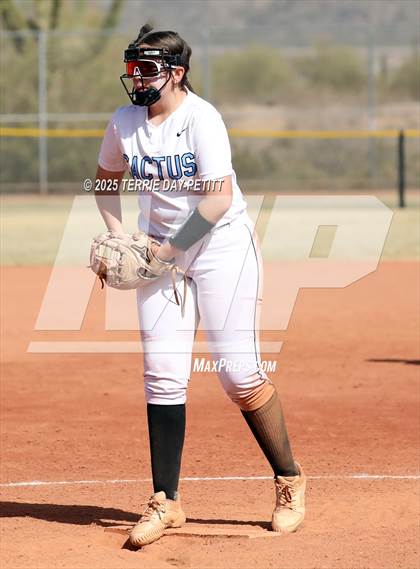 Thumbnail 1 in Cactus vs. Ironwood photogallery.