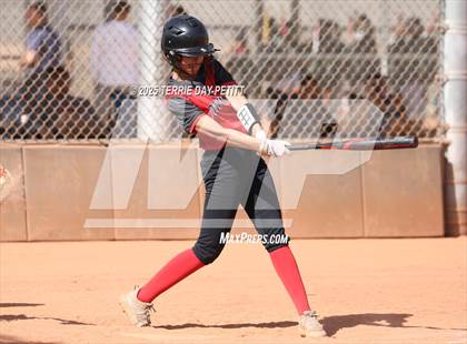 Thumbnail 2 in Cactus vs. Ironwood photogallery.