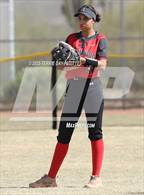 Photo from the gallery "Cactus vs. Ironwood"