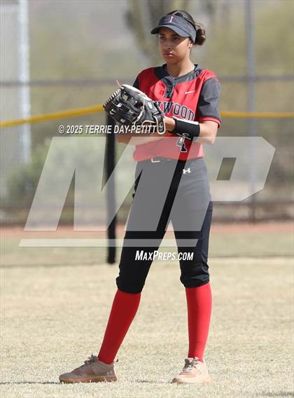 Thumbnail 3 in Cactus vs. Ironwood photogallery.
