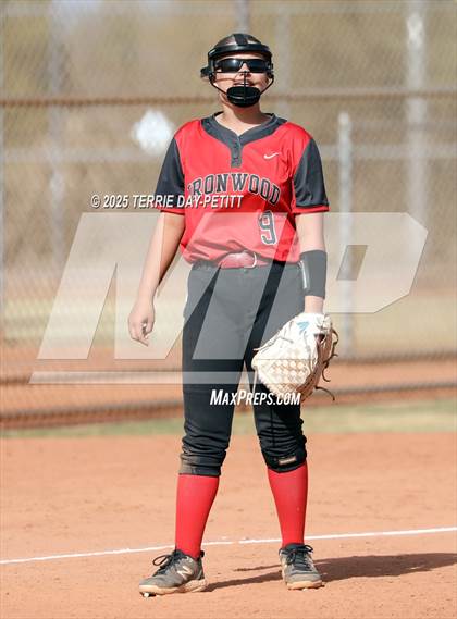 Thumbnail 2 in Cactus vs. Ironwood photogallery.